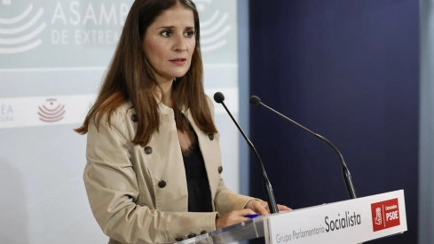 La portavoz parlamentaria del PSOE, Isabel Gil Rosiña. / LP La portavoz parlamentaria del PSOE, Isabel Gil Rosiña. / LP