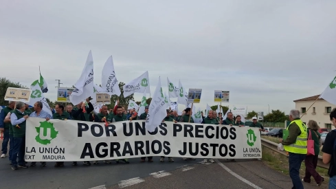 Más de 250 agricultores se manifestaron este martes para pedir a la Junta de Extremadura una línea de ayudas al sector de la aceituna de mesa. / EP Más de 250 agricultores se manifestaron este martes para pedir a la Junta de Extremadura una línea de ayudas al sector de la aceituna de mesa. / EP