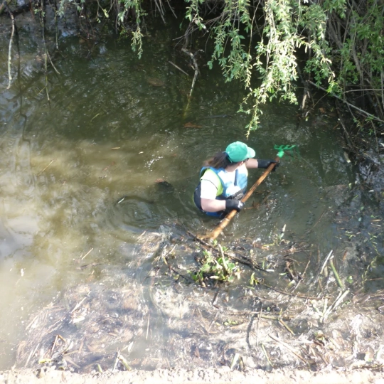 Trabajos en las orillas del río Guadiana entre la desembocadura del Zújar y la frontera con Portugal. / AG
