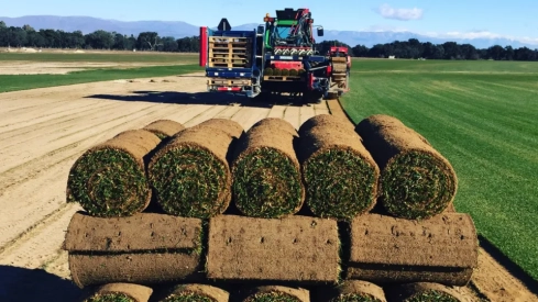 Extracción de césped con Brouwer automática en las instalaciones de Tapiz Verde y Tepeservi. / CEDIDA
