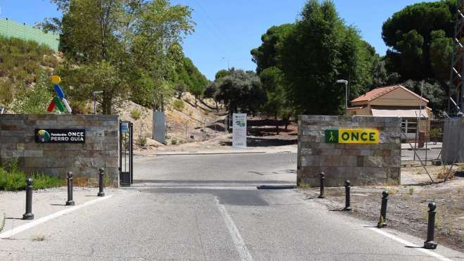 Acceso Fundación Perro Guía ONCE. / AM
