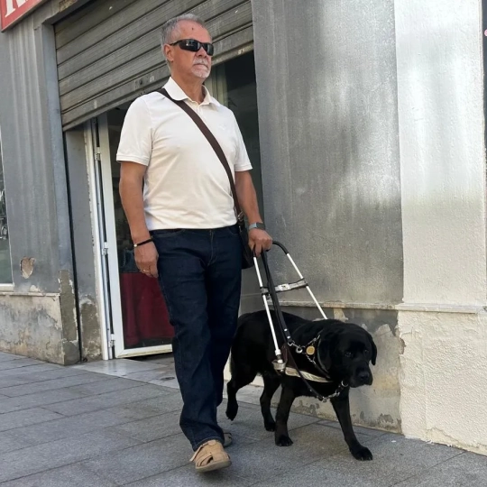 perro3 perro3