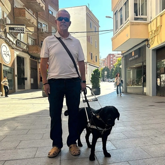 perro5 perro5