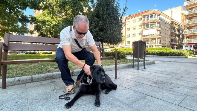 perro ij perro ij