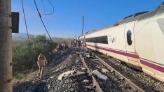 Lugar del accidente con el descarrilamiento de dos vagones y viajeros transitando por la vía. / CEDIDA