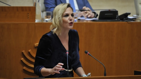 La consejera de Hacienda, Elena Manzano, ha defendido un presupuesto de 9.254 millones de euros este miércoles. / LP La consejera de Hacienda, Elena Manzano, ha defendido un presupuesto de 9.254 millones de euros este miércoles. / LP