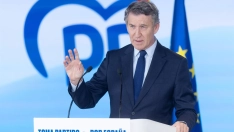 El presidente nacional del PP, Alberto Núñez Feijóo. / EP