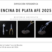 Cartel de la exposición 'Encina de Plata 2025'. / AFE Cartel de la exposición 'Encina de Plata 2025'. / AFE
