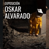 La exposición 'Where fireflies unfold' estará abierta hasta el 13 de febrero. / LP La exposición 'Where fireflies unfold' estará abierta hasta el 13 de febrero. / LP