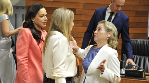 Pleno de la Asamblea