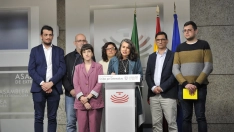 Irene de Miguel con el resto de miembros del grupo parlamentario de Unidas por Extremadura. / LP