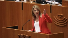 La portavoz del Grupo Socialista en la Asamblea, Piedad Álvarez. / EP