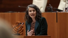La portavoz del Grupo Parlamentario de Unidas por Extremadura, Irene de Miguel. / E. Press