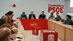 El 16º Congreso Regional Extraordinario del PSOE de Extremadura  marcará un antes y un después en la trayectoria del partido en la región. / CEDIDA