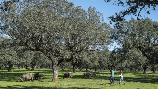 Rutas Gastronómicas Sostenibles © Turismo de Extremadura (6)