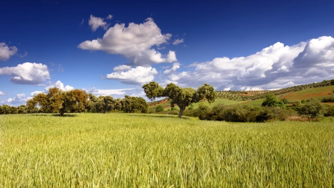Dehesa 2 © Turismo de Extremadura Dehesa 2 © Turismo de Extremadura