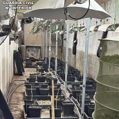 La Plantación, con unos 150 maceteros y todo tipo de elementos de iluminación, ventilación y extractores. / LP