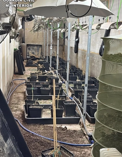 La Plantación, con unos 150 maceteros y todo tipo de elementos de iluminación, ventilación y extractores. / LP